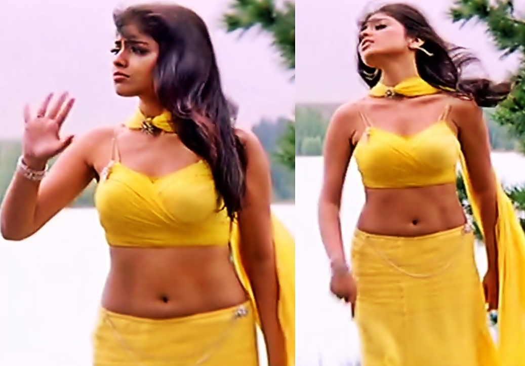 Shriya Saran Hot Navel Tight Sharp Boobs Show Song Naa Alludu